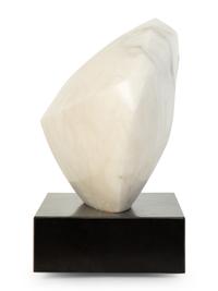 Curvilinear Sculpture