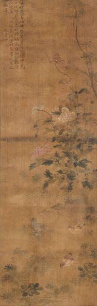 Zhao Lin