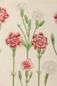 A Set of Six Hand-Colored Botanical Engravings