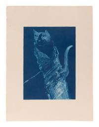 Two Works: Blue Cat Ghost, edition 15/15; Dream Horse , edition 37/50