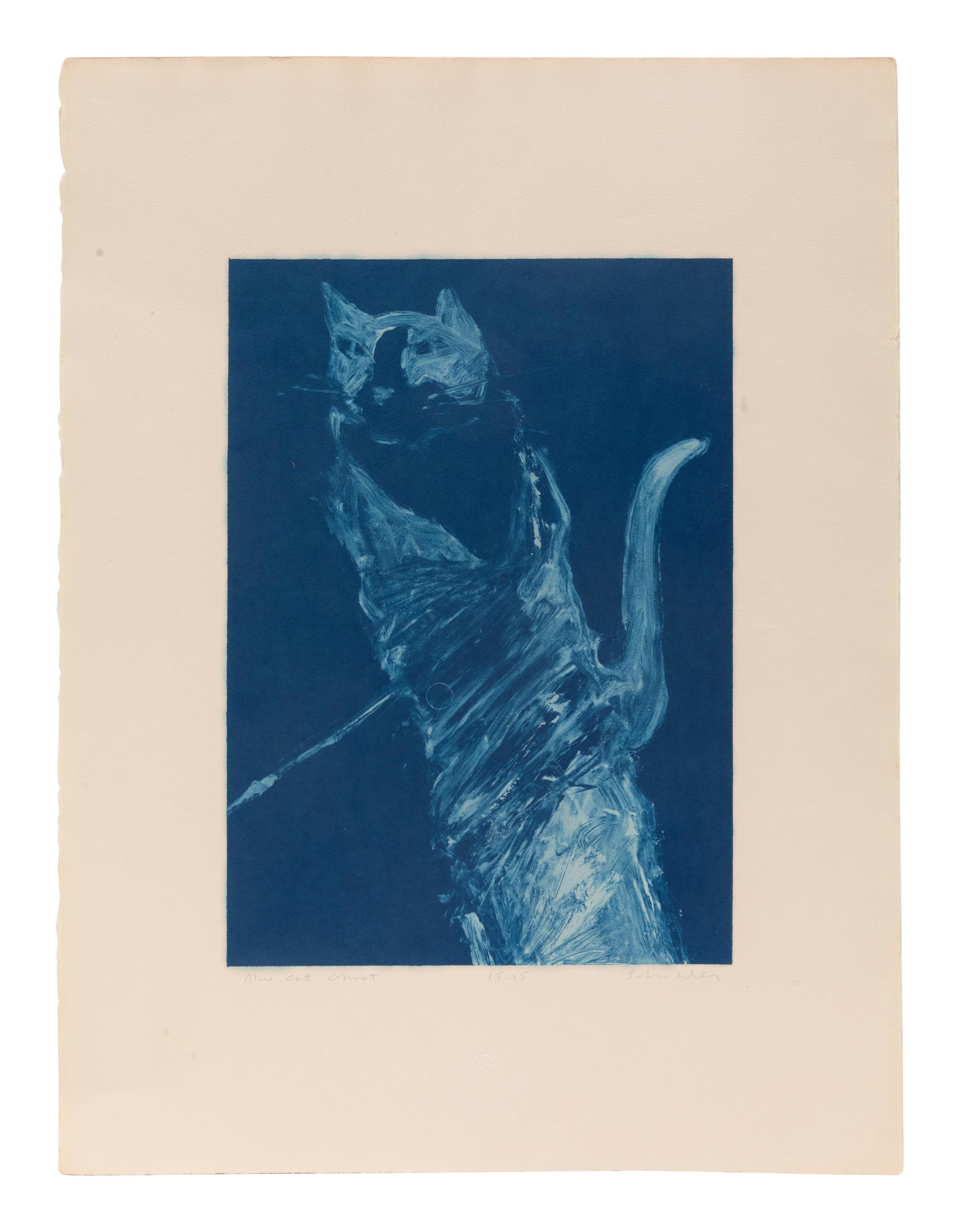 Two Works: Blue Cat Ghost, edition 15/15; Dream Horse , edition 37/50