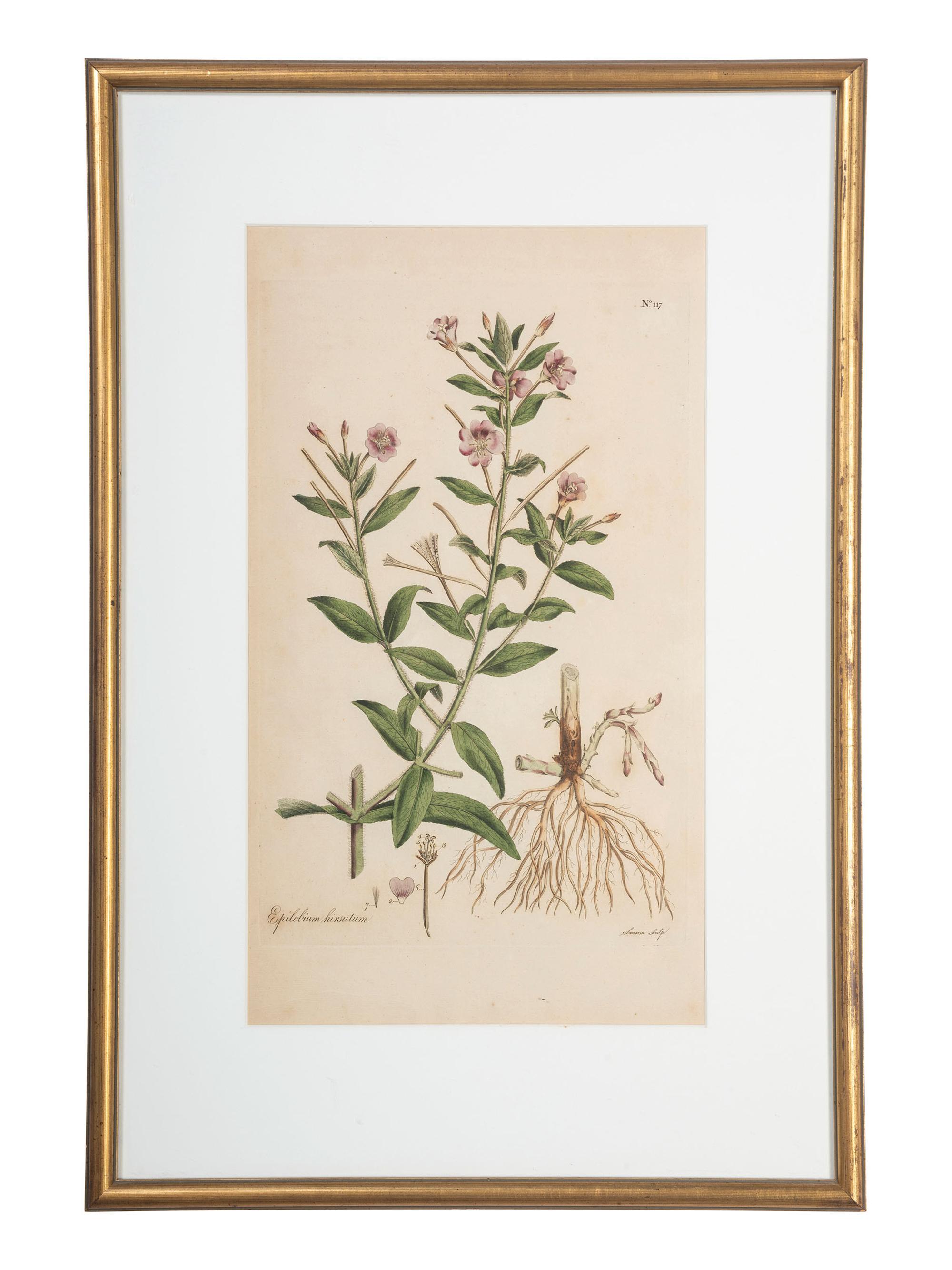 Four Hand-Colored Botanical Engravings