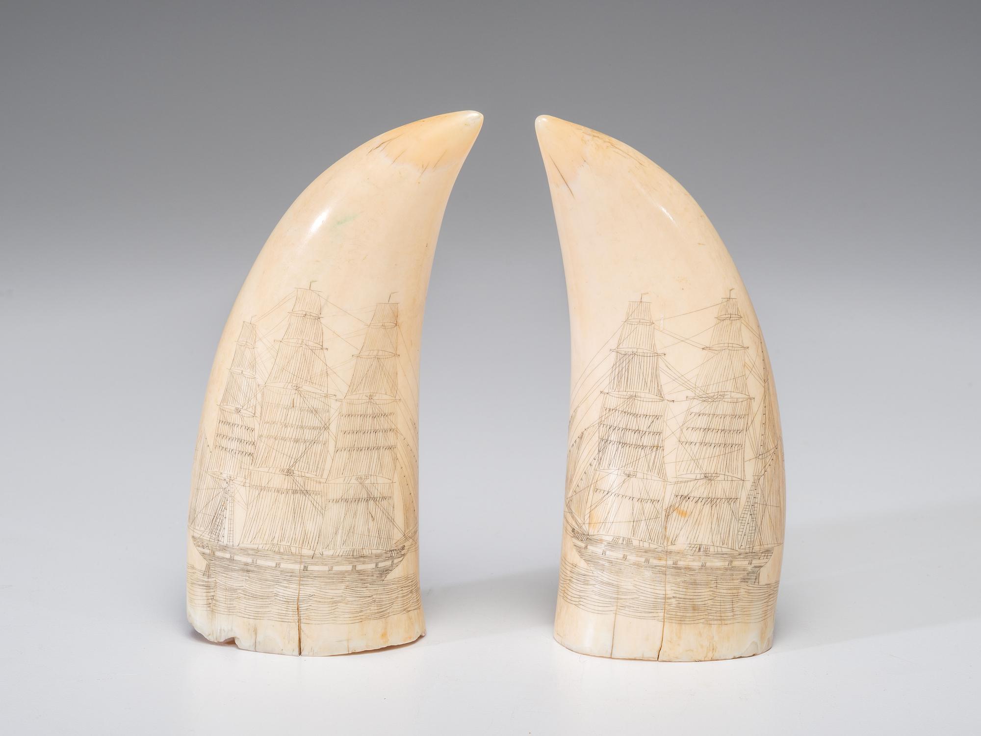 A Pair of Scrimshaw Sperm Whale's Teeth