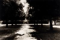 Shah Jahan's Tomb, Tree at Center, Agra , 1985, and Untitled (Garden) (Two Works)
