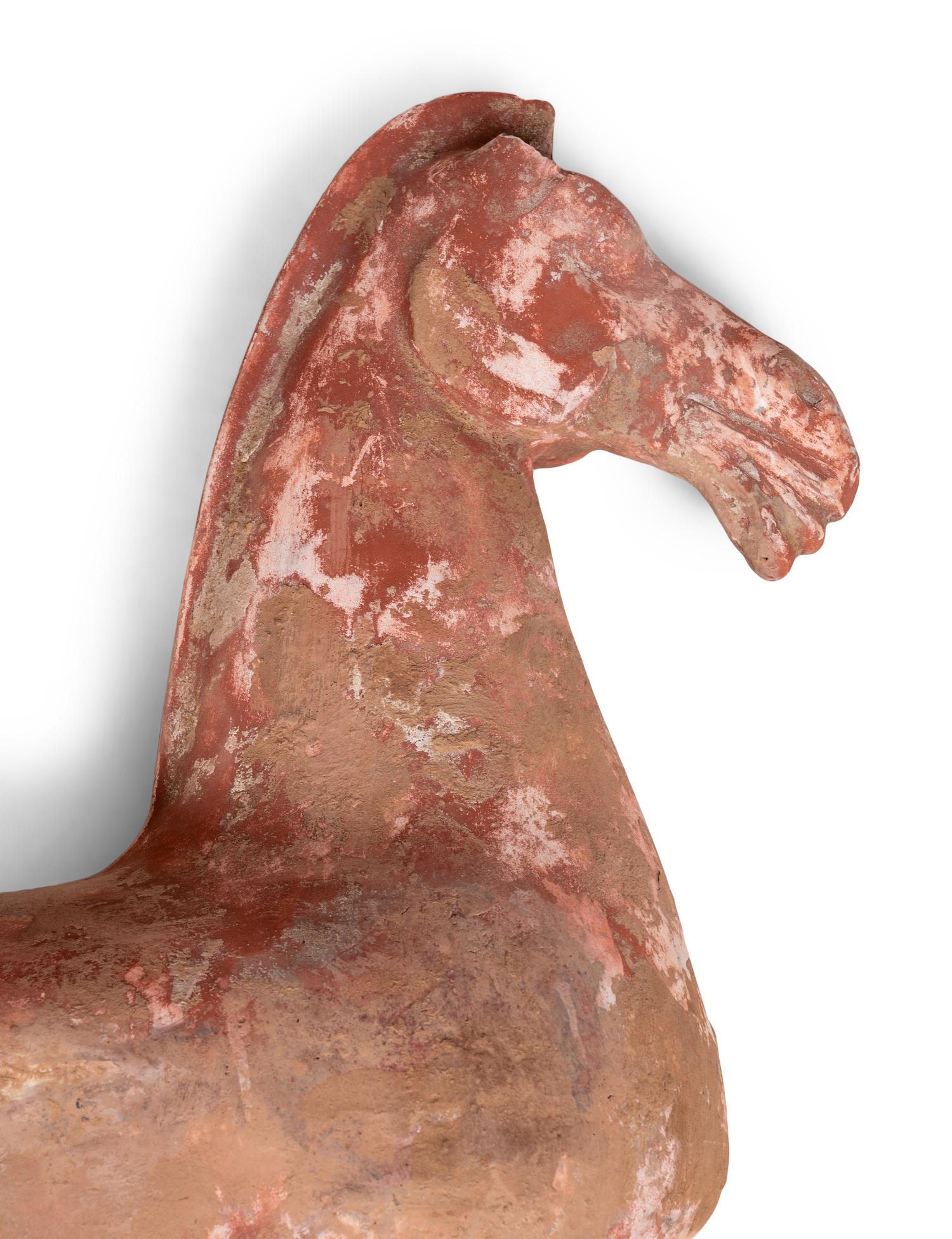 Two Chinese Terra Cotta Horses with Polychrome Remnants