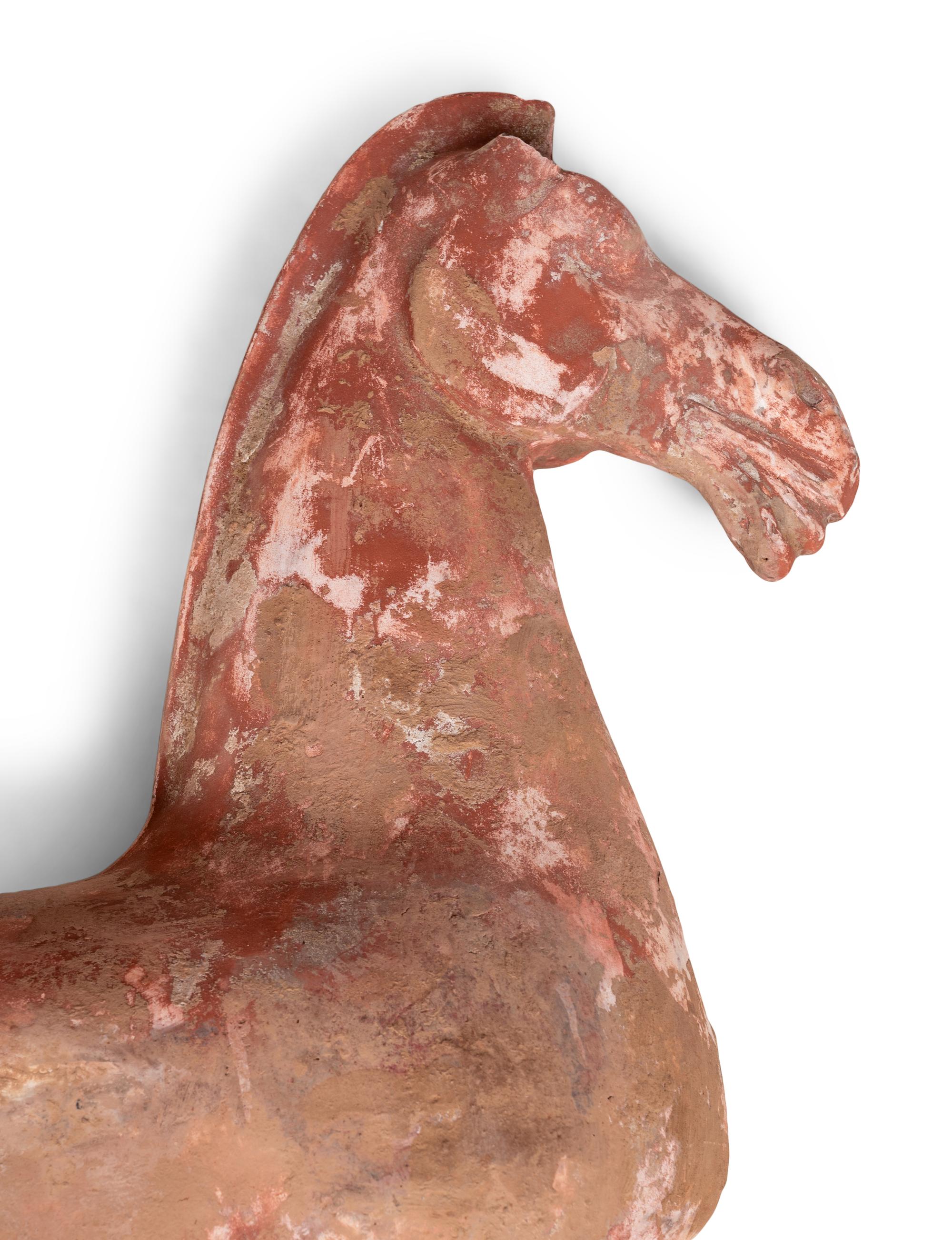 Two Chinese Terra Cotta Horses with Polychrome Remnants