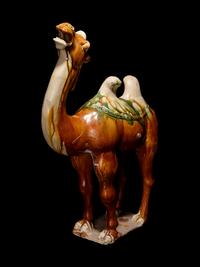 A Sancai Glazed Pottery Figure of a Camel