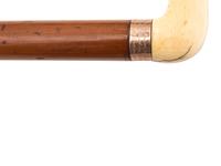 Six Canes, Including Two Presentation Examples