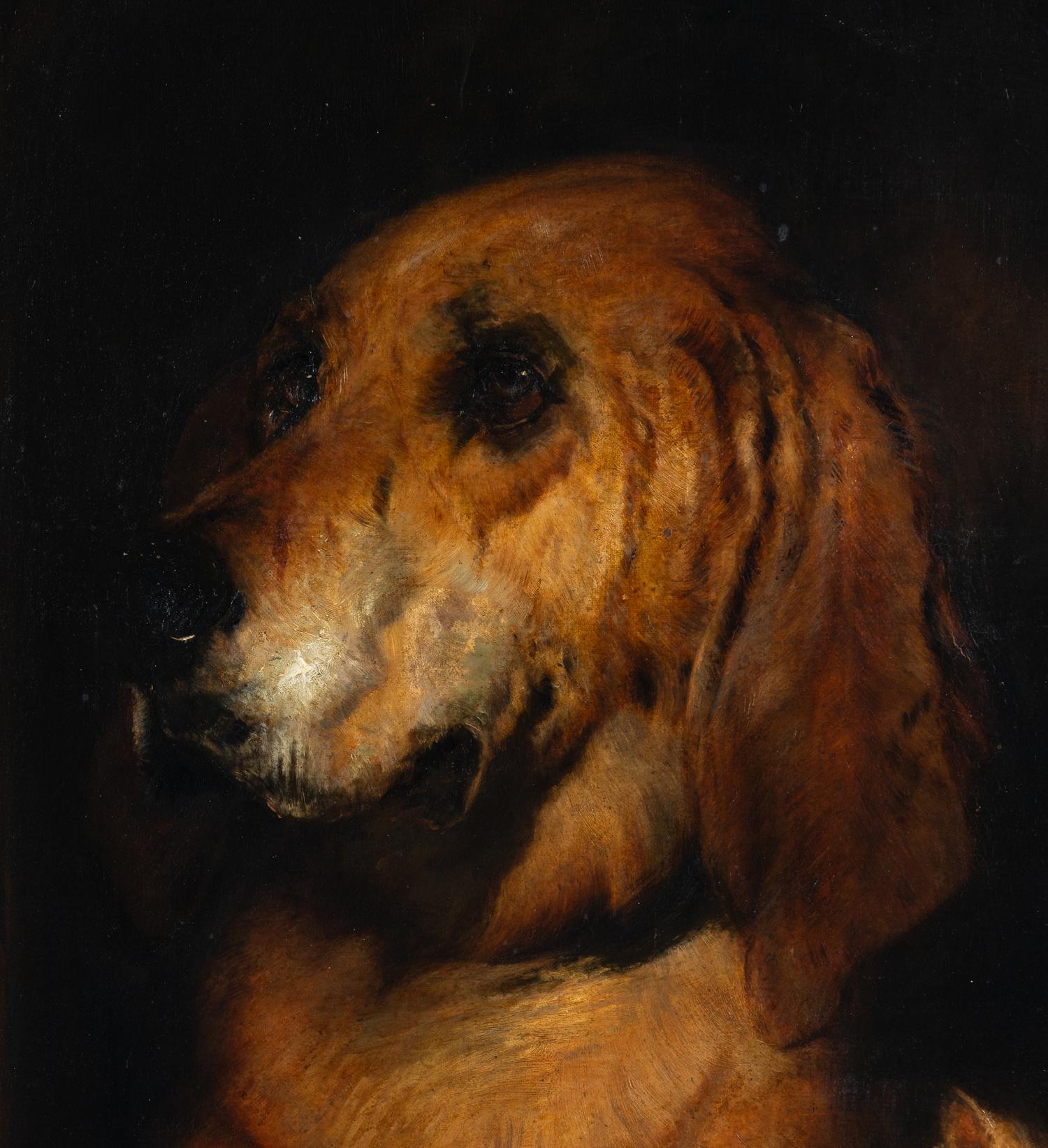 Dignity and Impudence