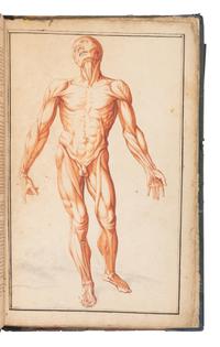 [SCIENCE & MEDICINE -MANUSCRIPT]. [After TORTEBAT, Francois (c 1616-1690), illustrator. -- PILES, Roger de (1635-1709)]. "Abrege d'Anatomie Accommode aux Arts de Peinture et de Sculpture. " [France, ca 17th- early 18th century].