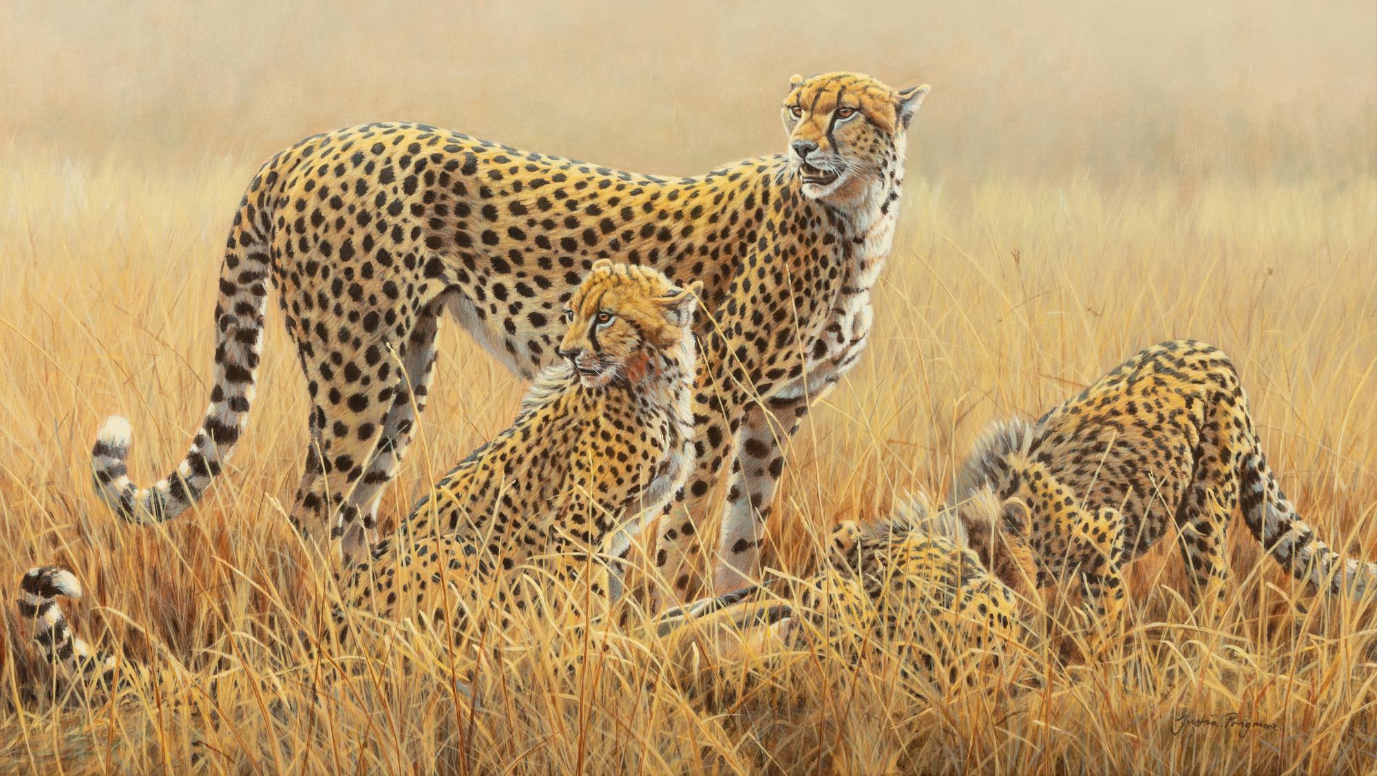 Watching for Scavengers - Cheetah , 2007