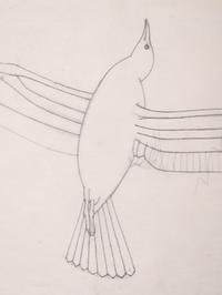 Study for Seagull , c. 1939