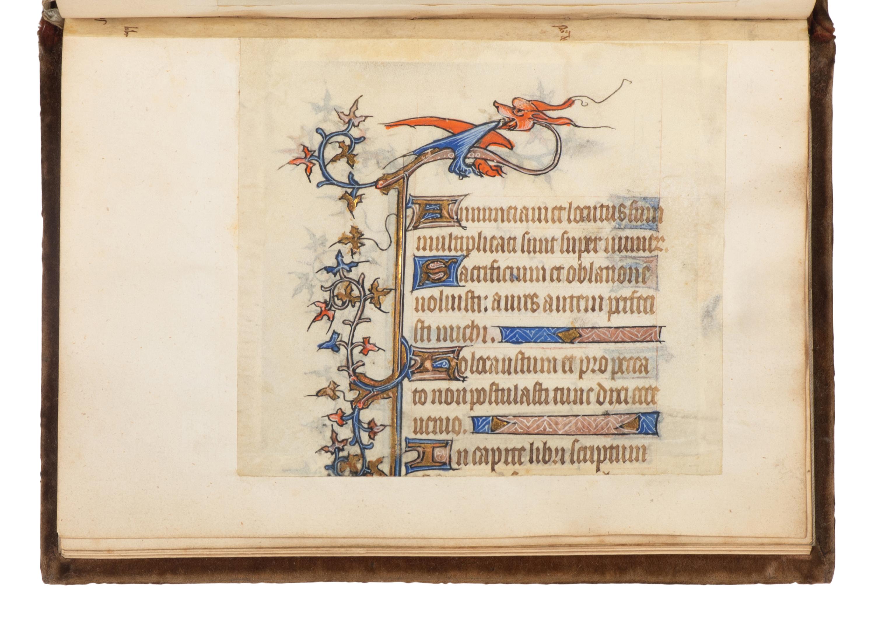 [LEAF BOOK - ILLUMINATED MANUSCRIPTS]. A leaf book containing various illuminated leaves from several Books of Hours, most executed in France, ca 13th-15th centuries.