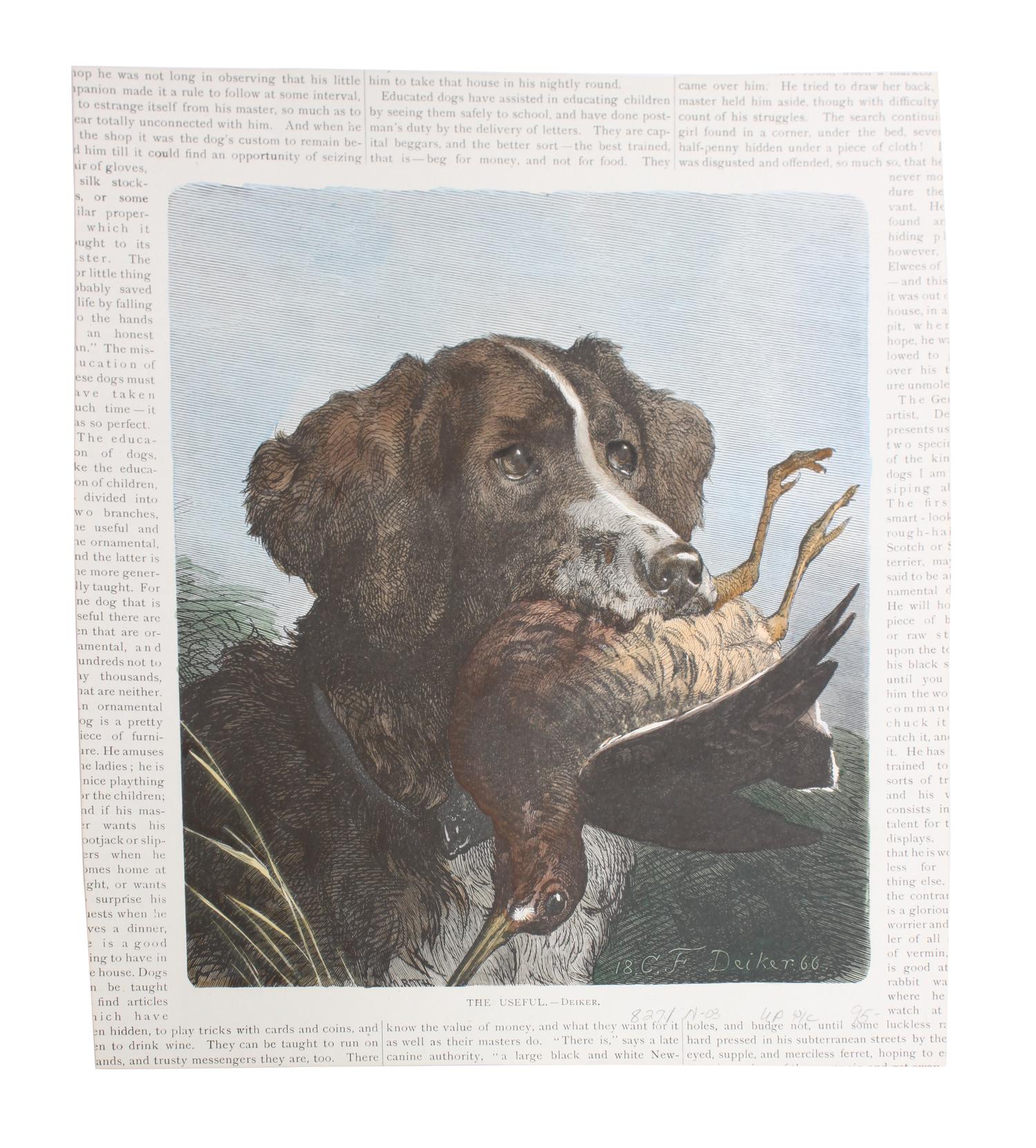 Eleven Hand Colored Dog Prints Height 71/2 x 9 inches — 19TH/20TH CENTURY