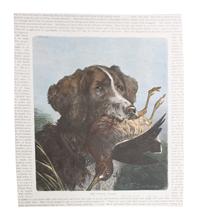 Eleven Hand Colored Dog Prints Height 71/2 x 9 inches — 19TH/20TH CENTURY