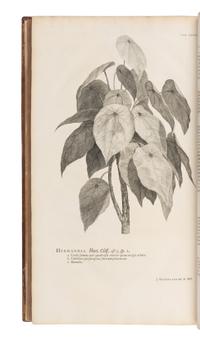 [NATURAL HISTORY]. LINNAEUS, Carolus (1707-1778). Hortus cliffortianus . Amsterdam, 1737 [i.e. 1738].