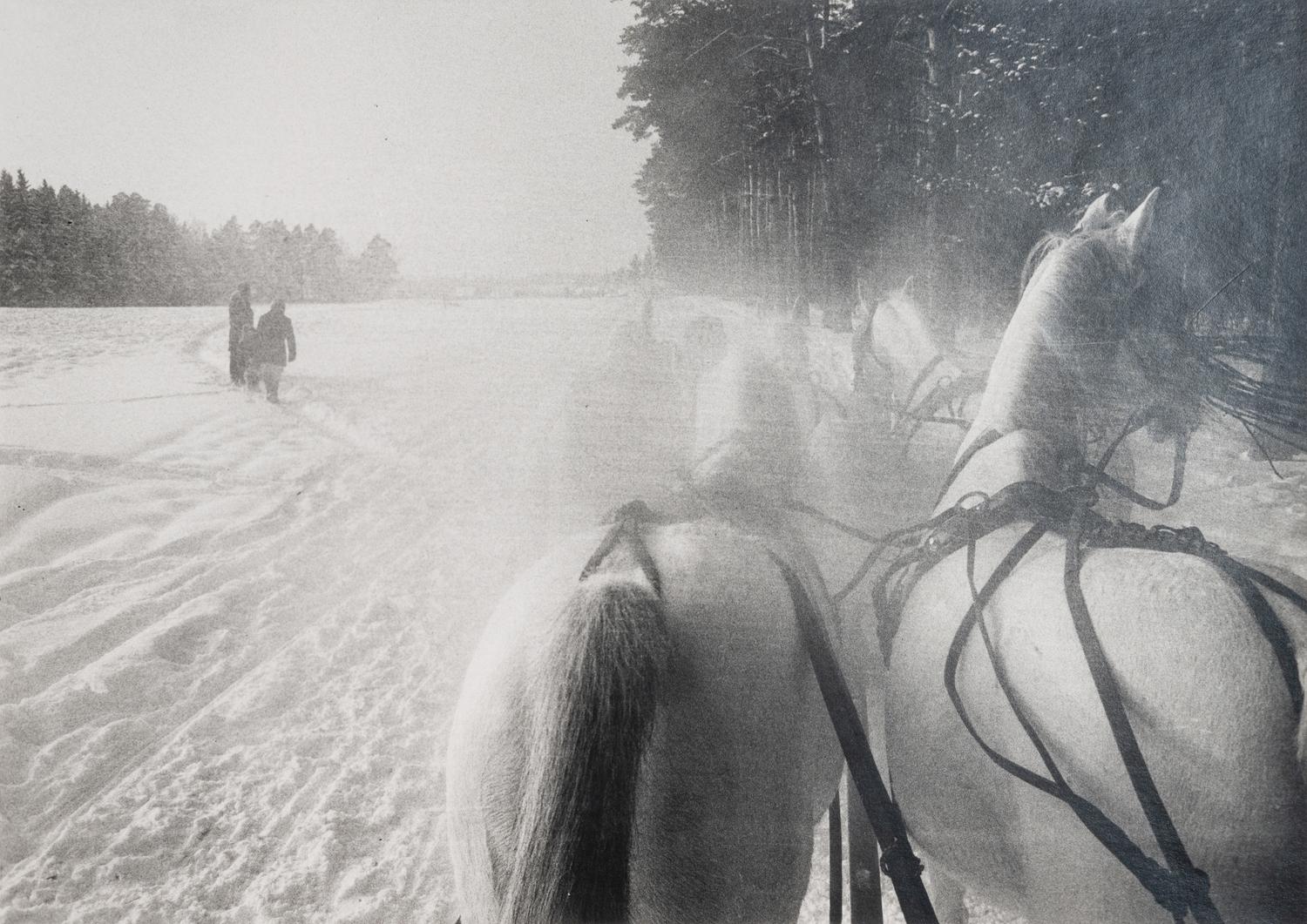 Horse Drawn Sleigh, South of Moscow