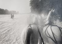 Horse Drawn Sleigh, South of Moscow