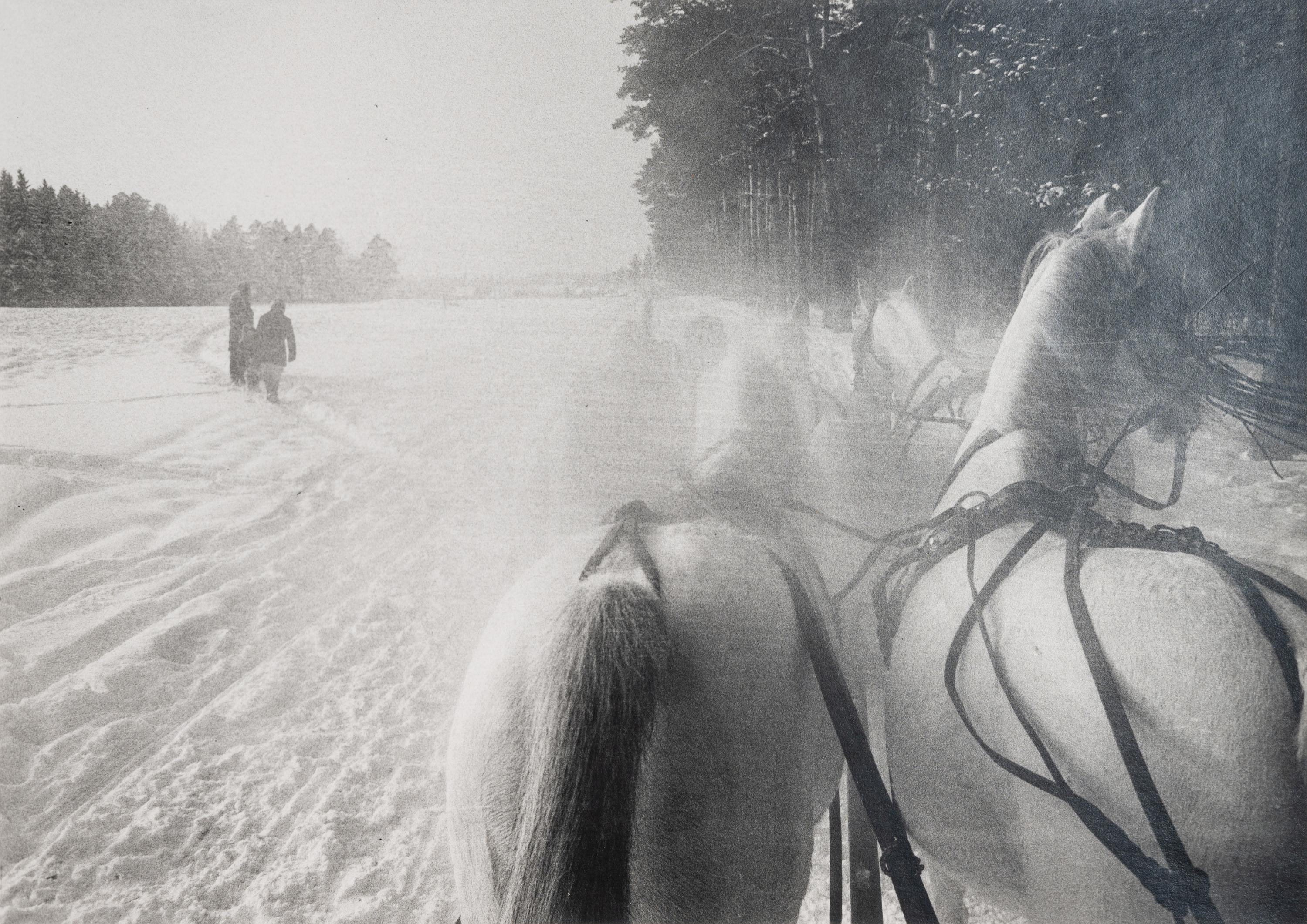 Horse Drawn Sleigh, South of Moscow