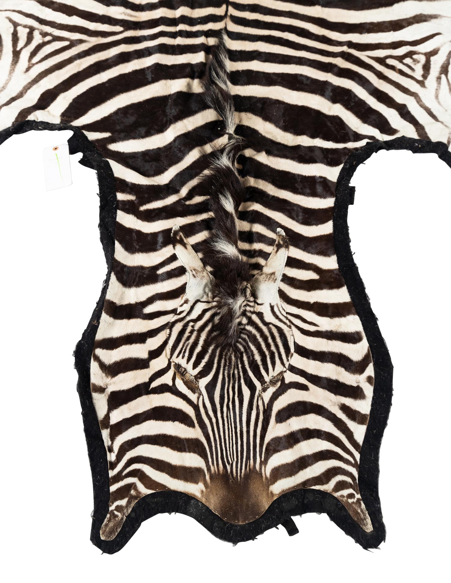 A Taxidermy Zebra Rug