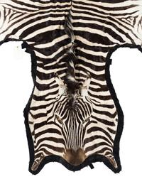 A Taxidermy Zebra Rug