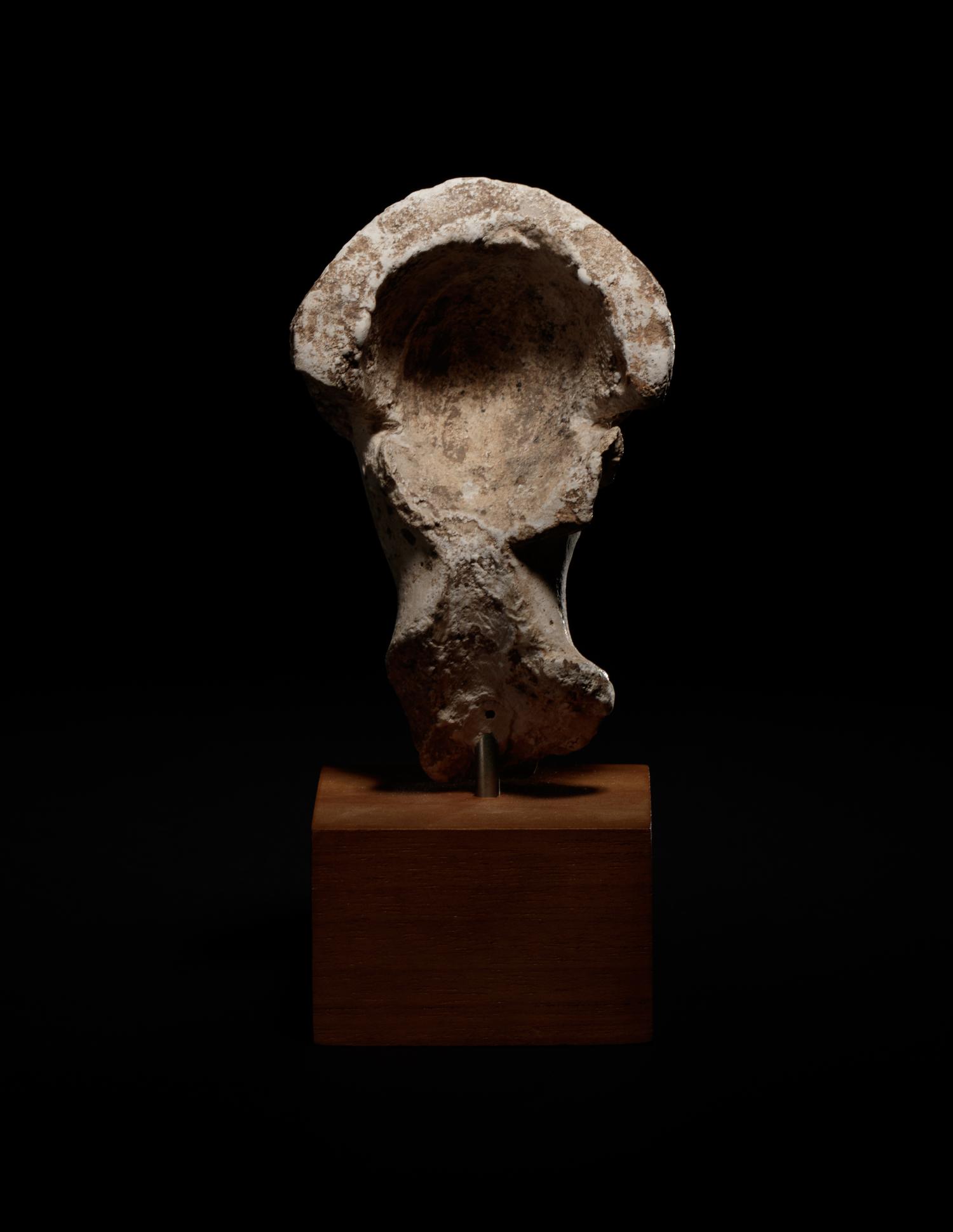 An Egyptian Limestone Head of a Noblewoman
