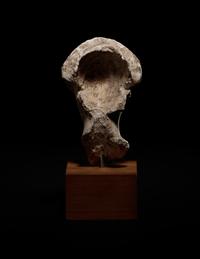 An Egyptian Limestone Head of a Noblewoman