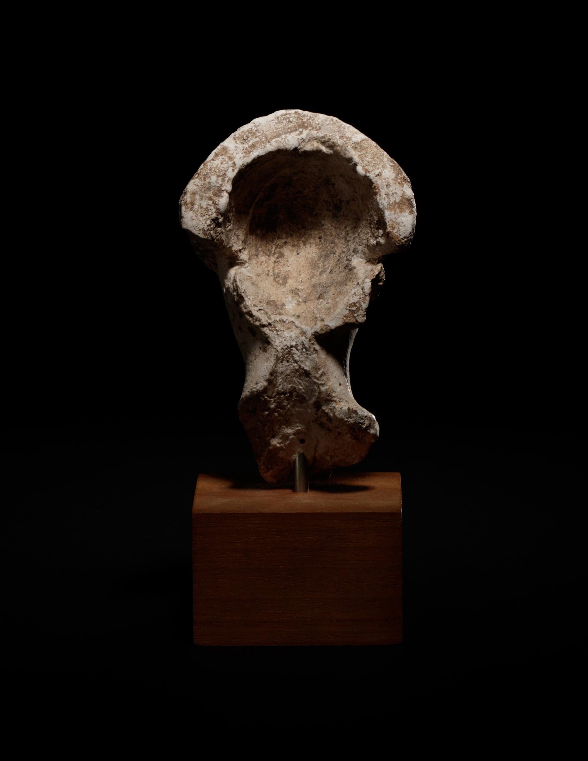 An Egyptian Limestone Head of a Noblewoman