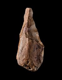 A Paleolithic Quartzite Hand Axe