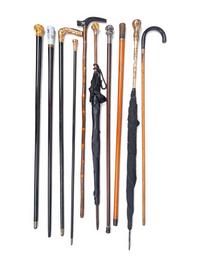 A Group of Walking Sticks