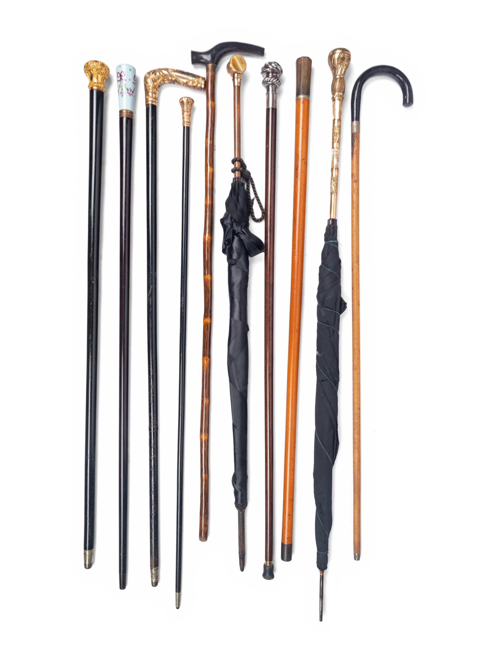 A Group of Walking Sticks