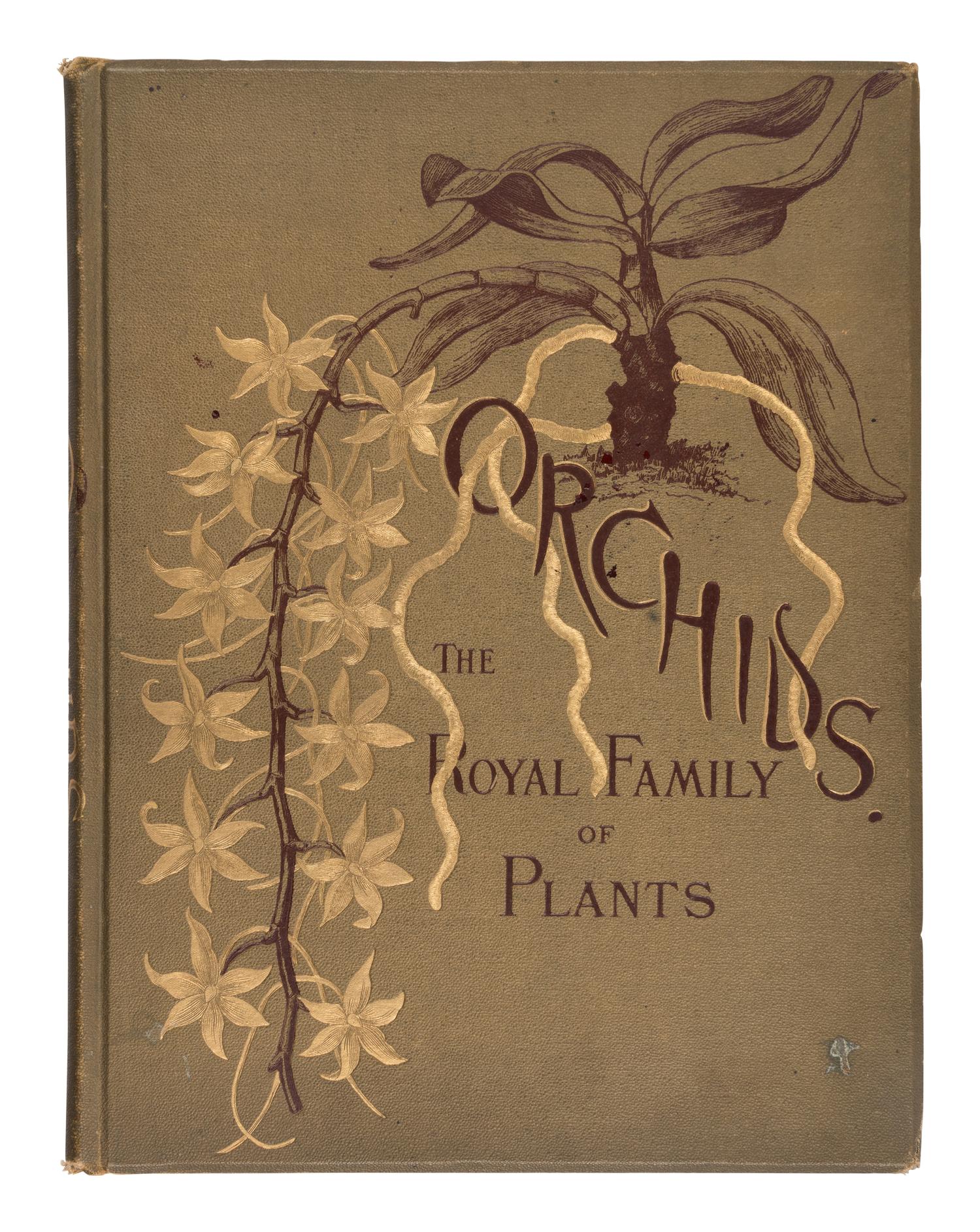 [NATURAL HISTORY]. MINER, Harriet Stewart (1840-1895). Orchids: the Royal Family of Plants . Boston: Lee and Shepard, 1885.