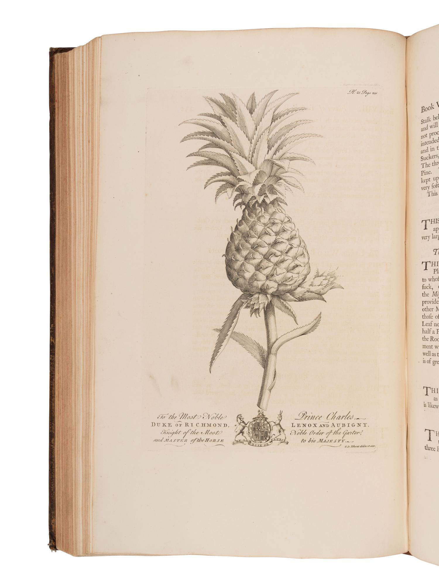 HUGHES, Griffith (1707-1779). The Natural History of Barbados . London: for the Author, 1750.