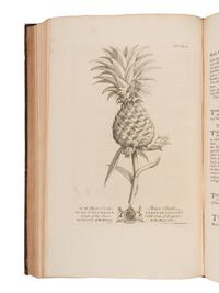 HUGHES, Griffith (1707-1779). The Natural History of Barbados . London: for the Author, 1750.