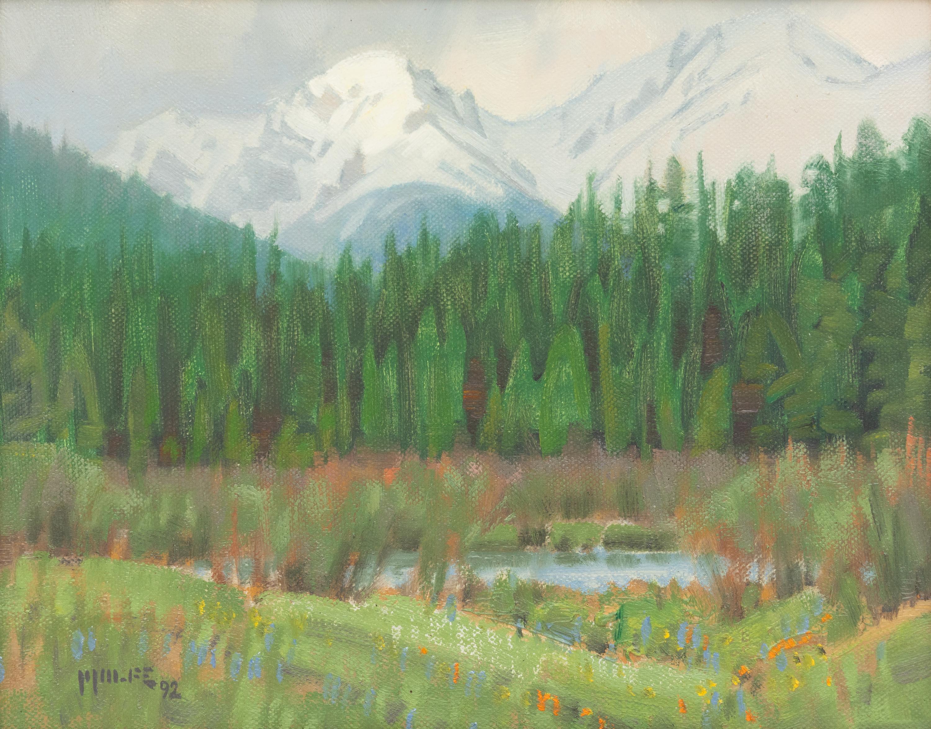 Hidden Valley Showers