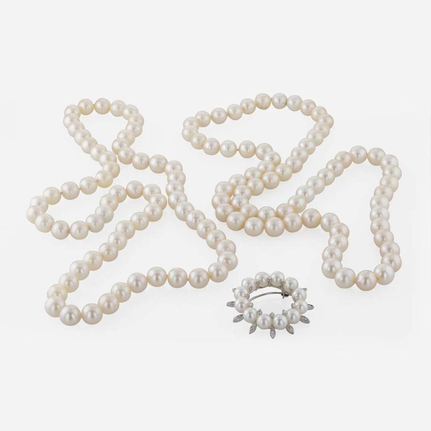 Collection of Assorted Pearl Jewelry