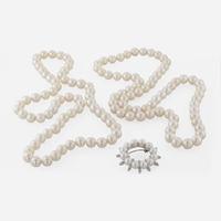 Collection of Assorted Pearl Jewelry