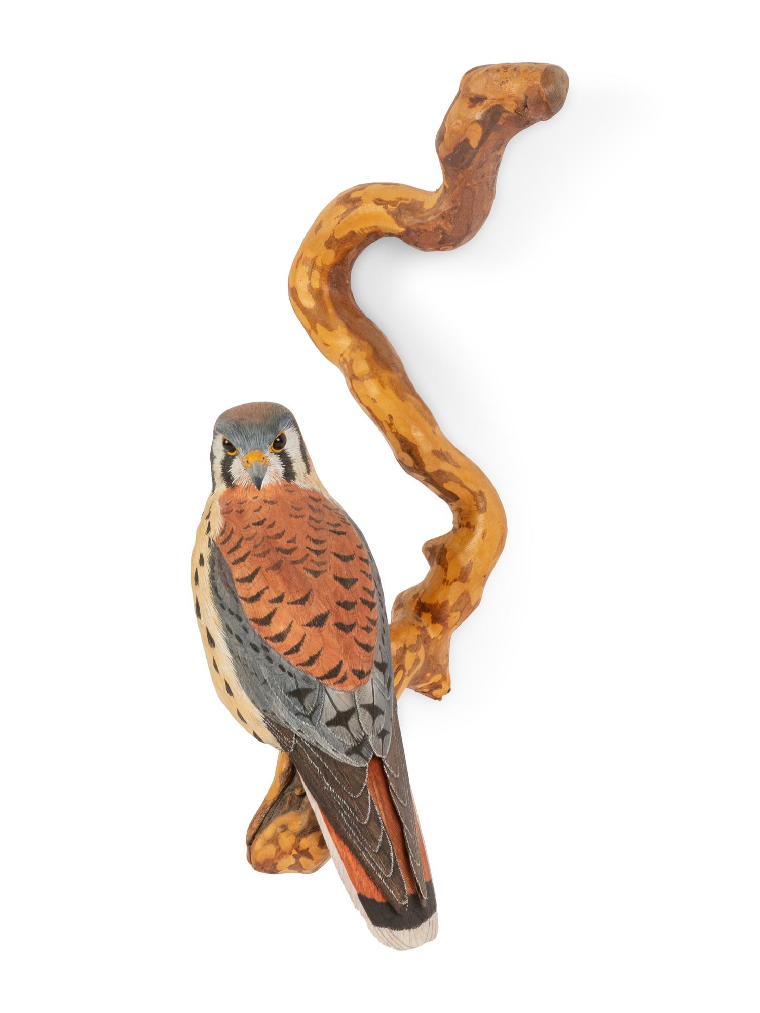 Kestrel