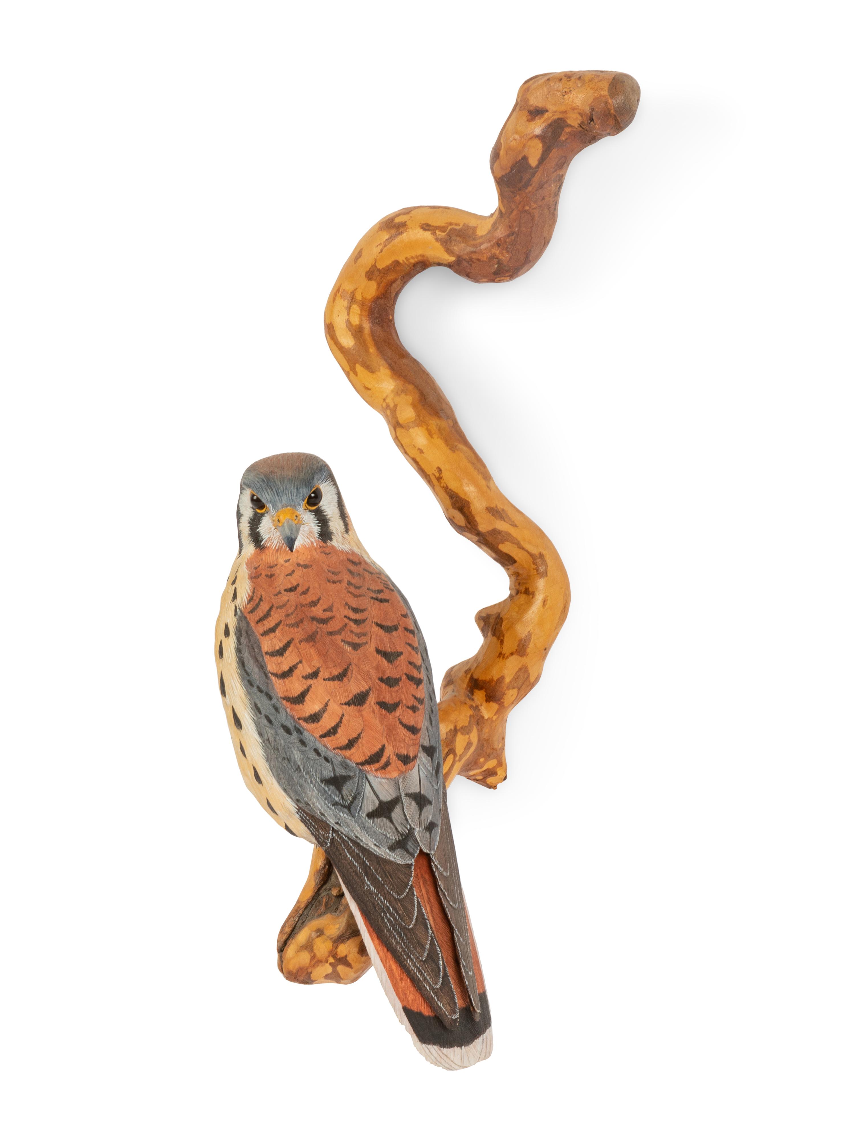 Kestrel