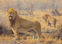 Patrolling the Territory