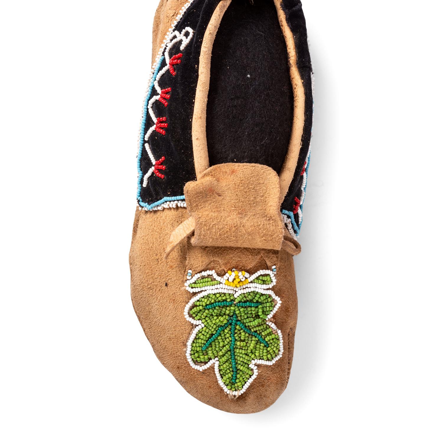 Group of Northeastern Moccasins