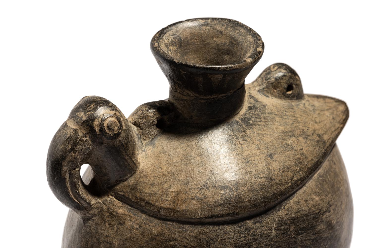 A Chimu Bird Effigy Vessel