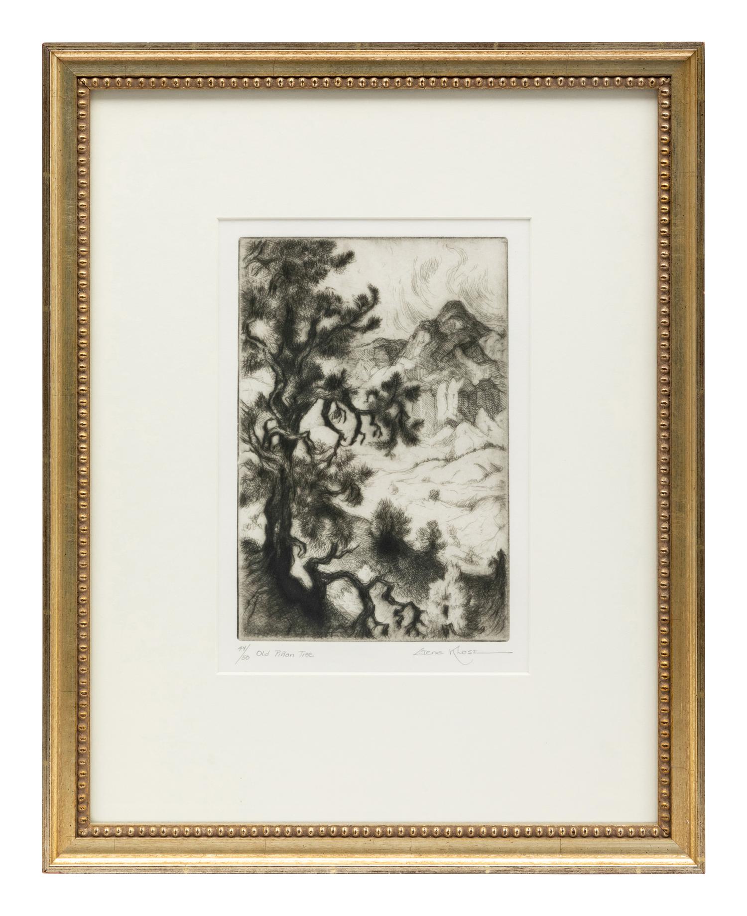 Old Piñon Tree , edition 44/50