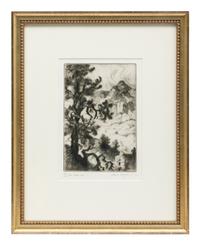 Old Piñon Tree , edition 44/50
