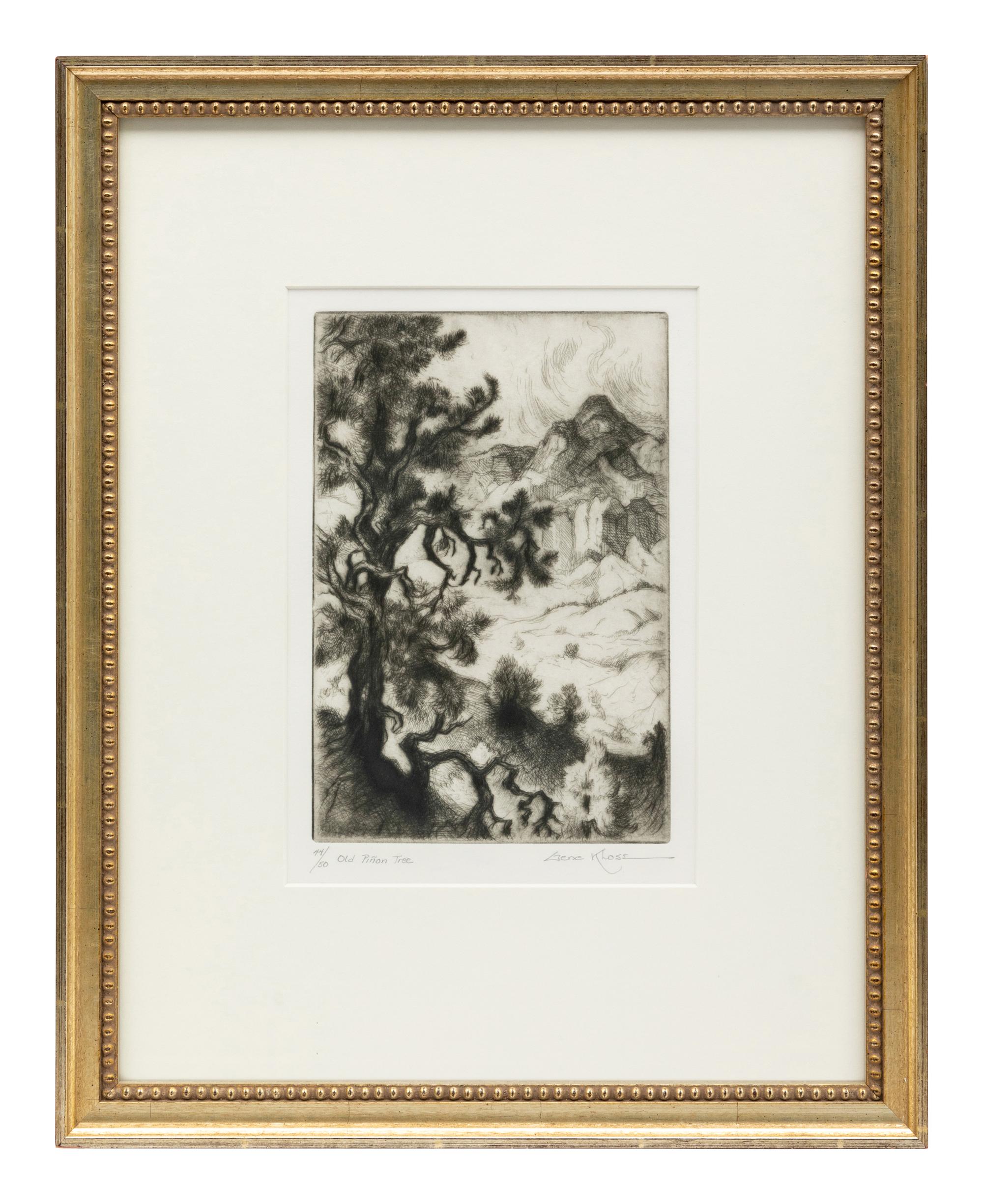 Old Piñon Tree , edition 44/50