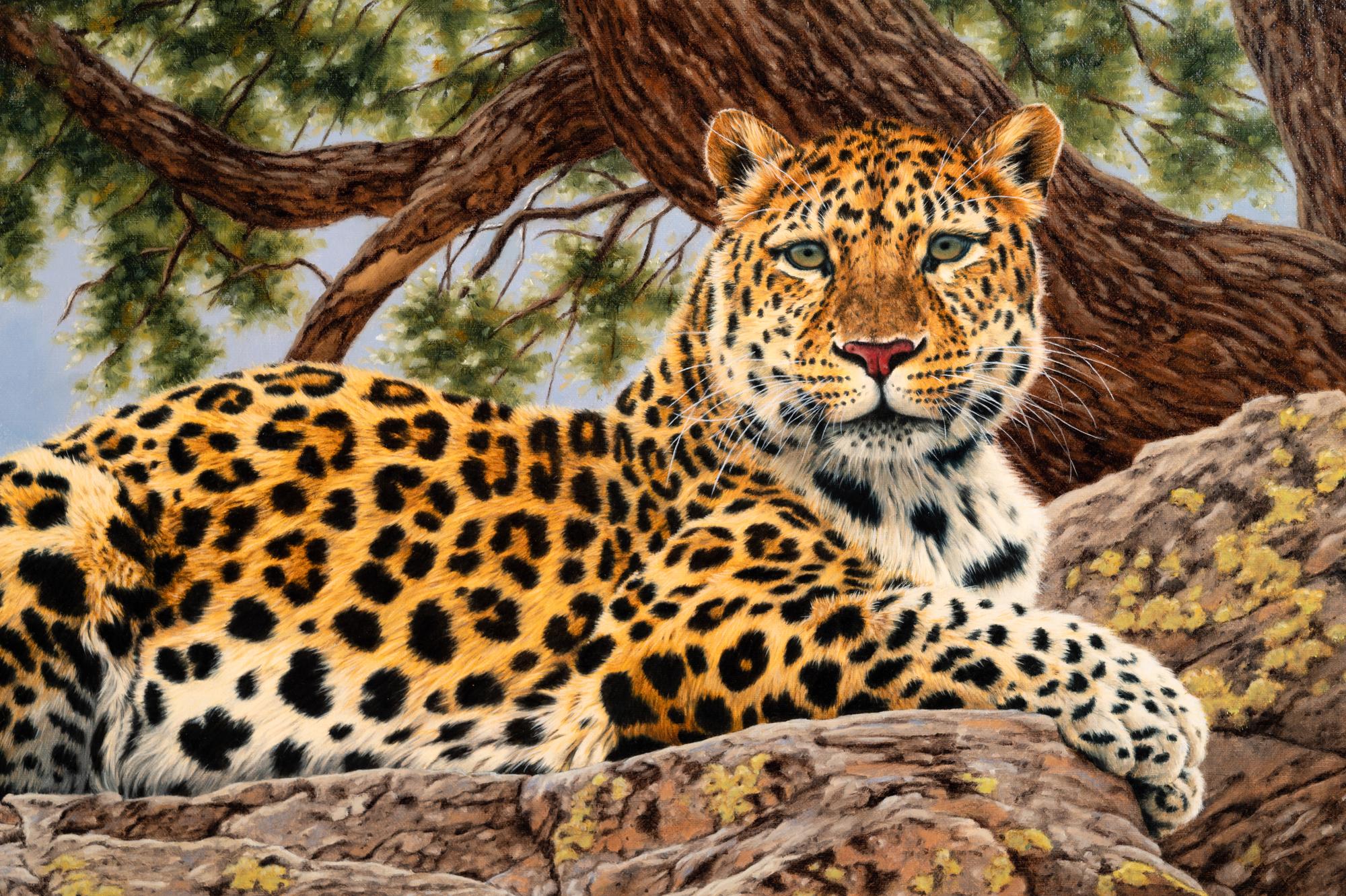 Lair of the Cat - Leopard