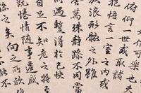 Two Calligraphy Ink on Paper Folding Fan Leaves