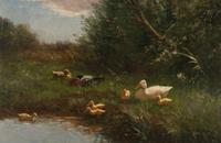 The Duck Pond