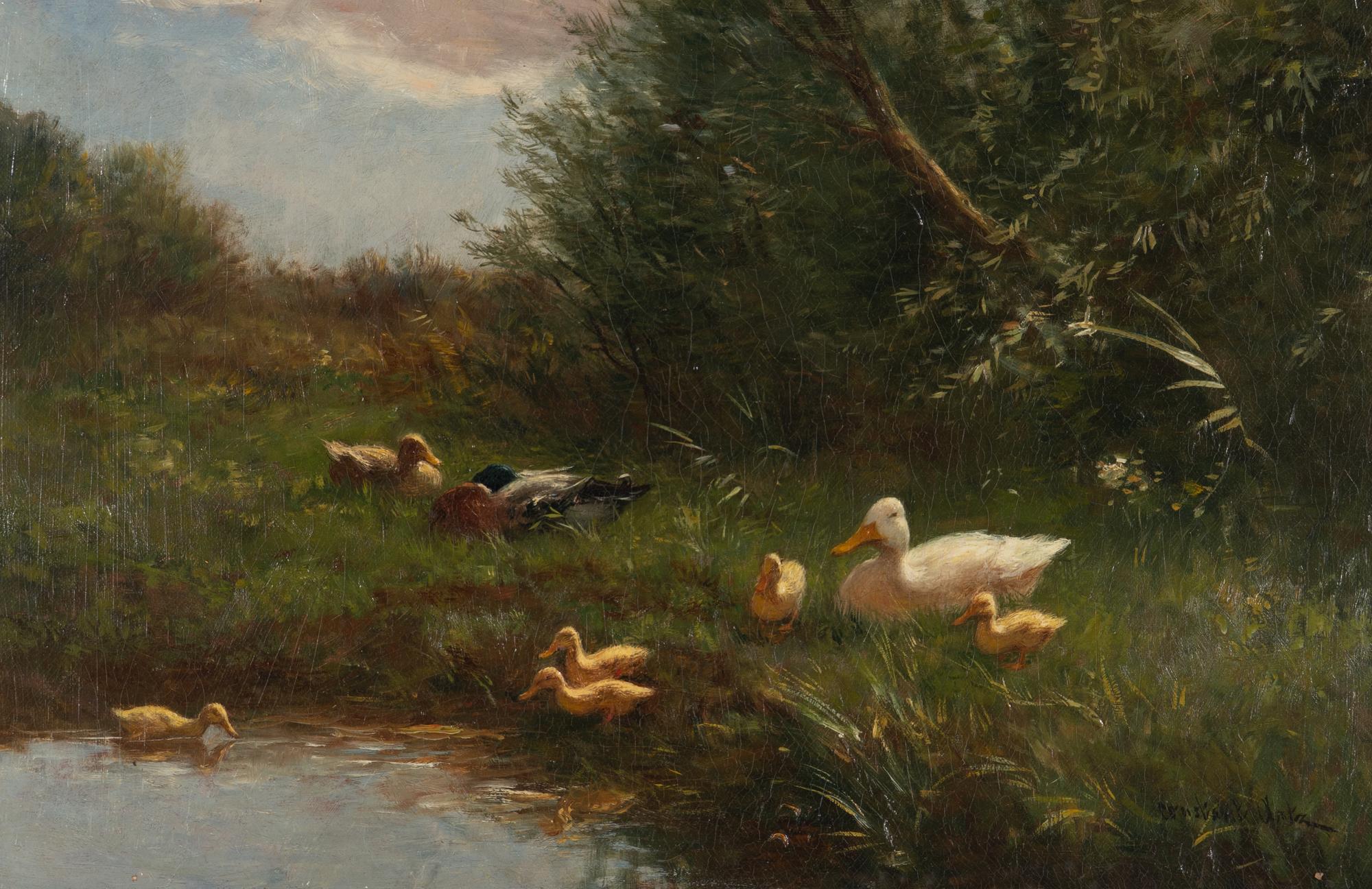 The Duck Pond