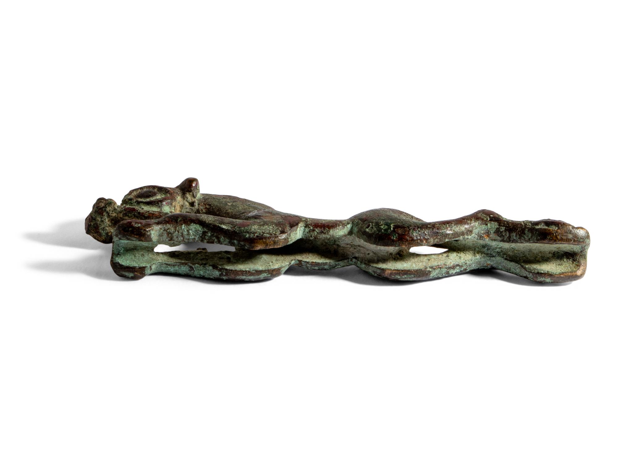 A Eurasian Bronze Panther